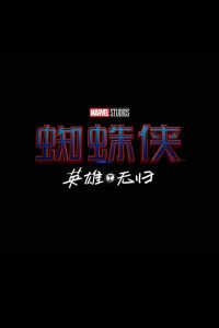 蜘蛛侠：英雄无归