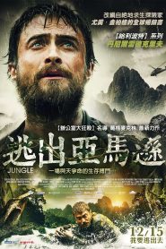 丛林