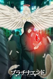 白金终局