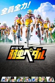 飙速宅男