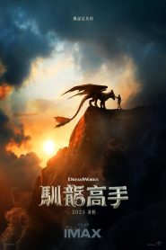 驯龙高手
